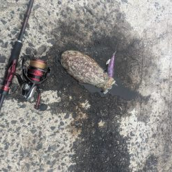 爆風でもなんとか1杯