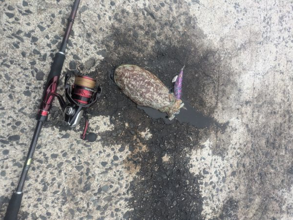 爆風でもなんとか1杯