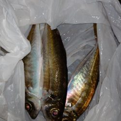 フロートアジング