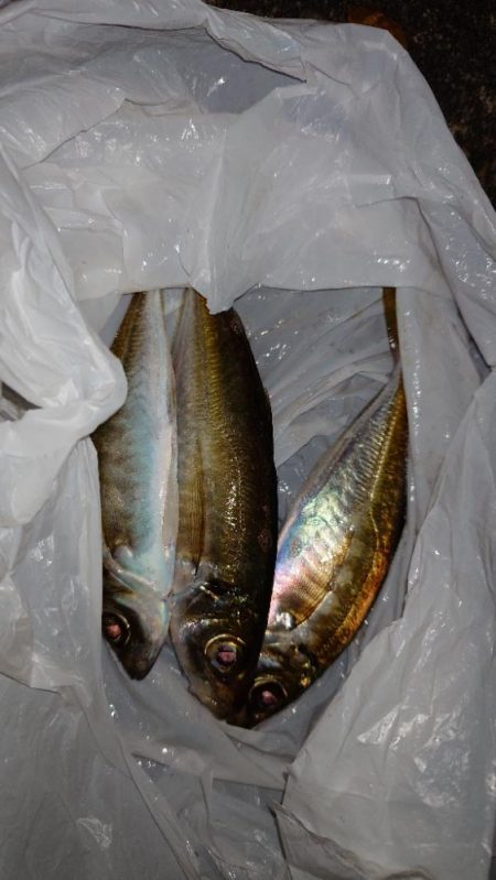 フロートアジング