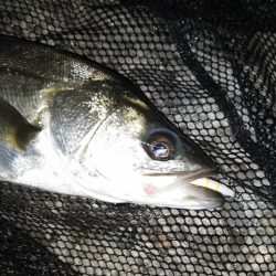 バレるバレる…