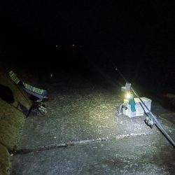 苅屋海岸のキス釣り