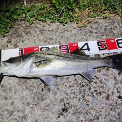 11カ月ぶりの60UP💦