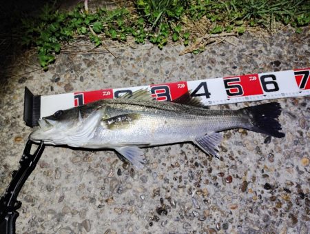 11カ月ぶりの60UP💦