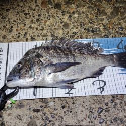 下げ止まり前が時合い。