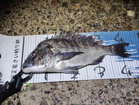 下げ止まり前が時合い。