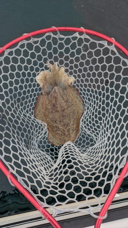 レンタルボートエンジョイ