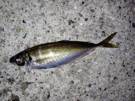 下降線もサイズアップ