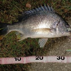 バイブレーションローテーション