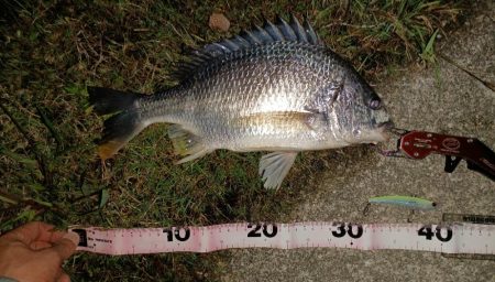 バイブレーションローテーション