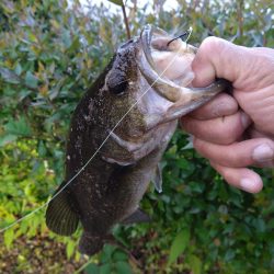 パワーフィネスで1本