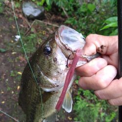 パワーフィネスで1本