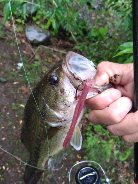パワーフィネスで1本