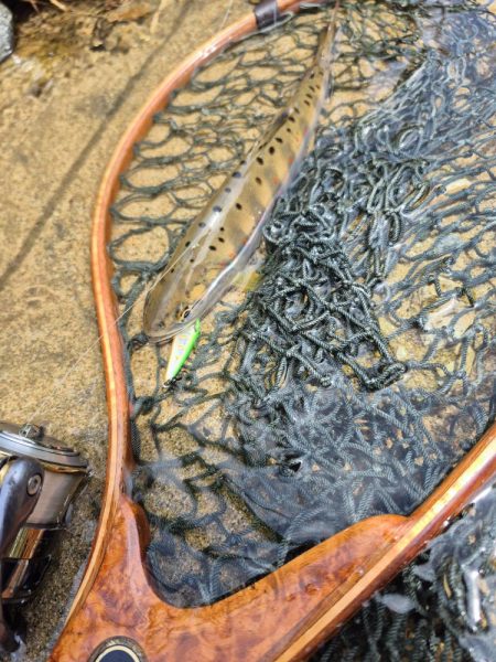 バラシ多すぎた、反省やな