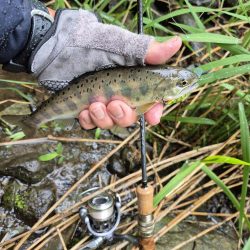 暴風なんで山へ