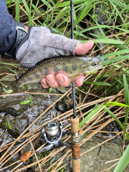 暴風なんで山へ
