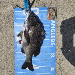 今年、初釣り✨️初当たり✴️チヌさま登場🙋