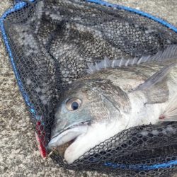 トップチニング