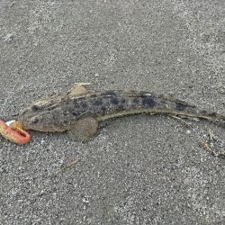 小さいけど1匹は1匹!