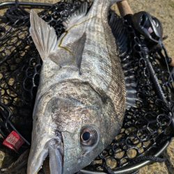 広島チニング Newフックセッティング炸裂!