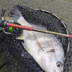 広島チニング超ランガンでツツツ抜け達成!