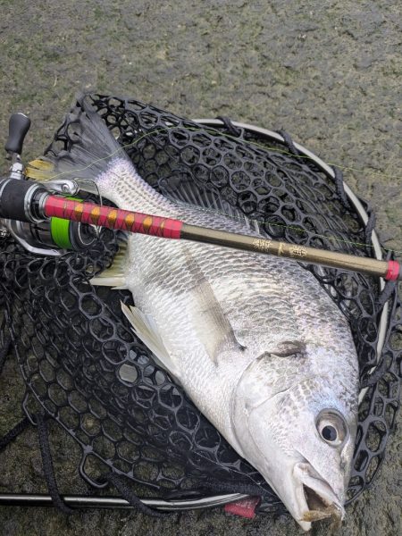 広島チニング超ランガンでツツツ抜け達成！