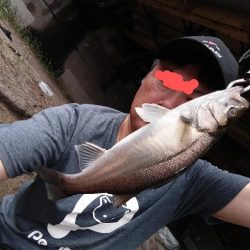 雨後にセイゴとマゴチ釣れました!