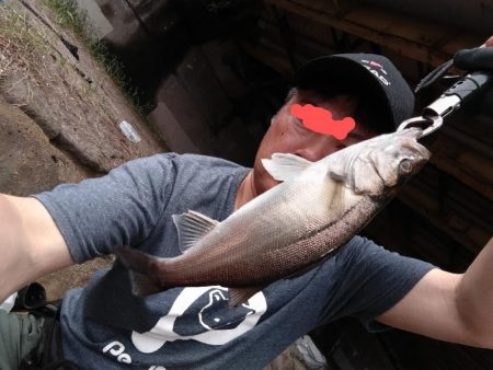 雨後にセイゴとマゴチ釣れました!