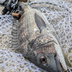 みんなで広島チニング&お好み焼き!