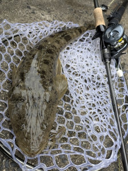 広島市内ランガンチニング