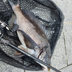 雨の合間チニング