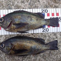 やはり場所なのか?