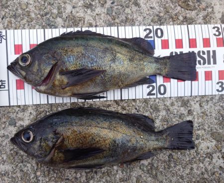 やはり場所なのか？