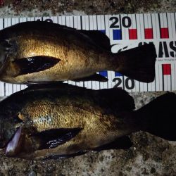 潮と場所は重要