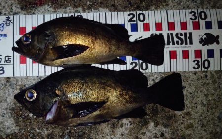 潮と場所は重要