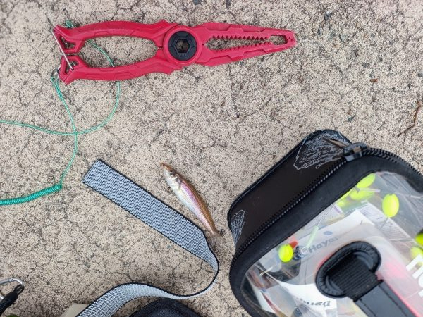 今年の鳥取遠征は不発