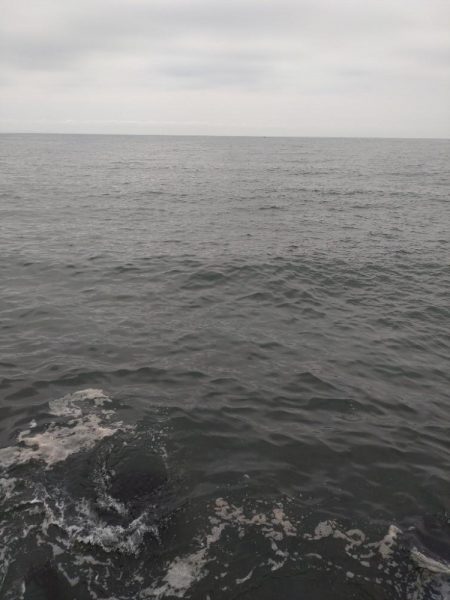 マゴチ1匹、バラシ2