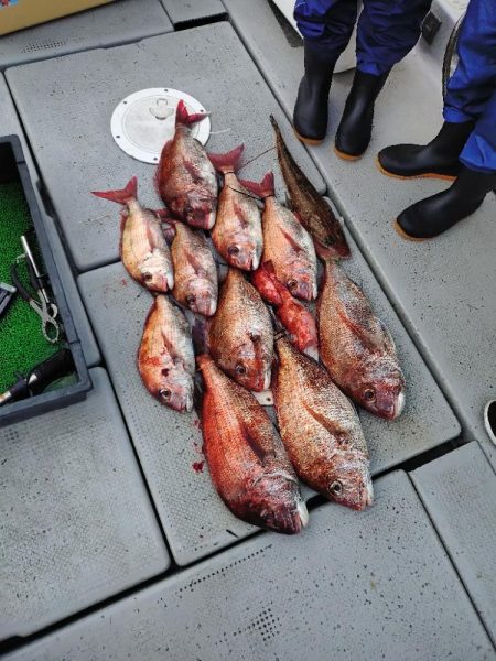 ファミリー鯛ラバ