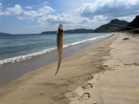 ＧＷにいろいろと巡ってみました