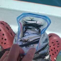 レンタルボート釣行