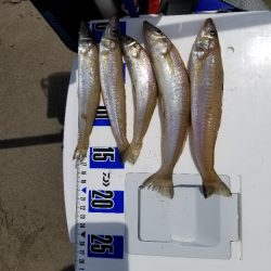 半年ぶりの釣行