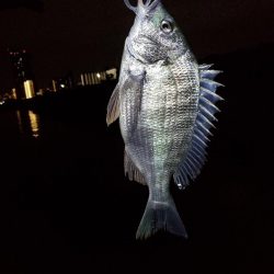 当たりもサイズもちっちゃいか～