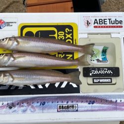 短時間の釣行でしたが釣れました