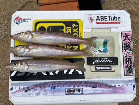 短時間の釣行でしたが釣れました