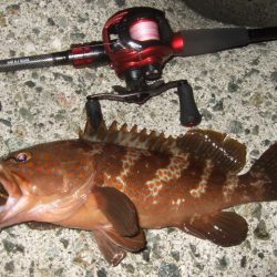 今シーズン初釣行