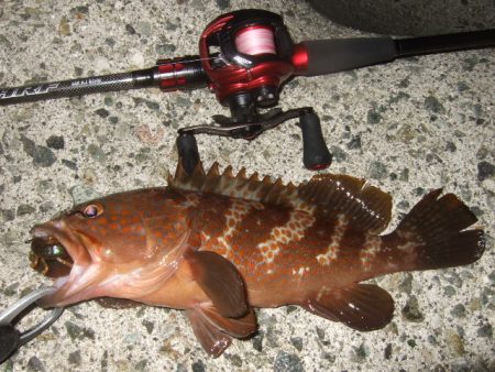 今シーズン初釣行