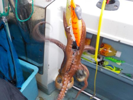 タコ開幕戦〜鍵庄〜