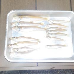 キス第1戦〜栗田〜