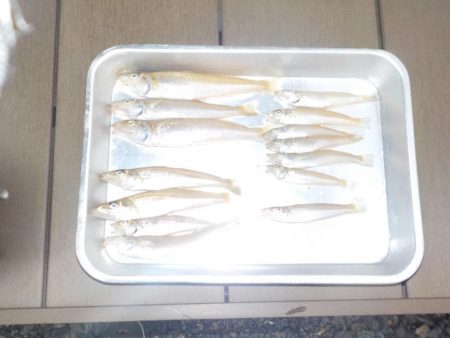 キス第1戦〜栗田〜