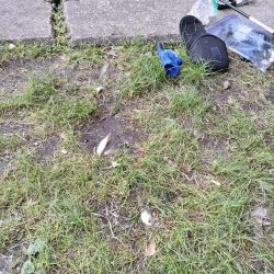 稚鮎シーズンイン